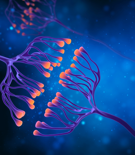 5 by Soft Reboot Wellness in Oakland, CA