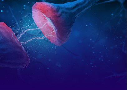 news6 by Soft Reboot Wellness in Oakland, CA