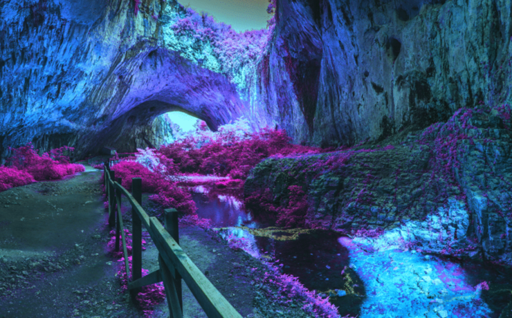 banner 02 by Soft Reboot Wellness in Oakland, CA