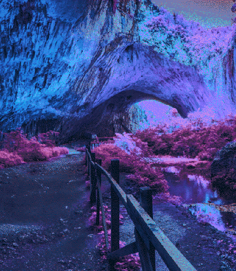 image 5 by Soft Reboot Wellness in Oakland, CA